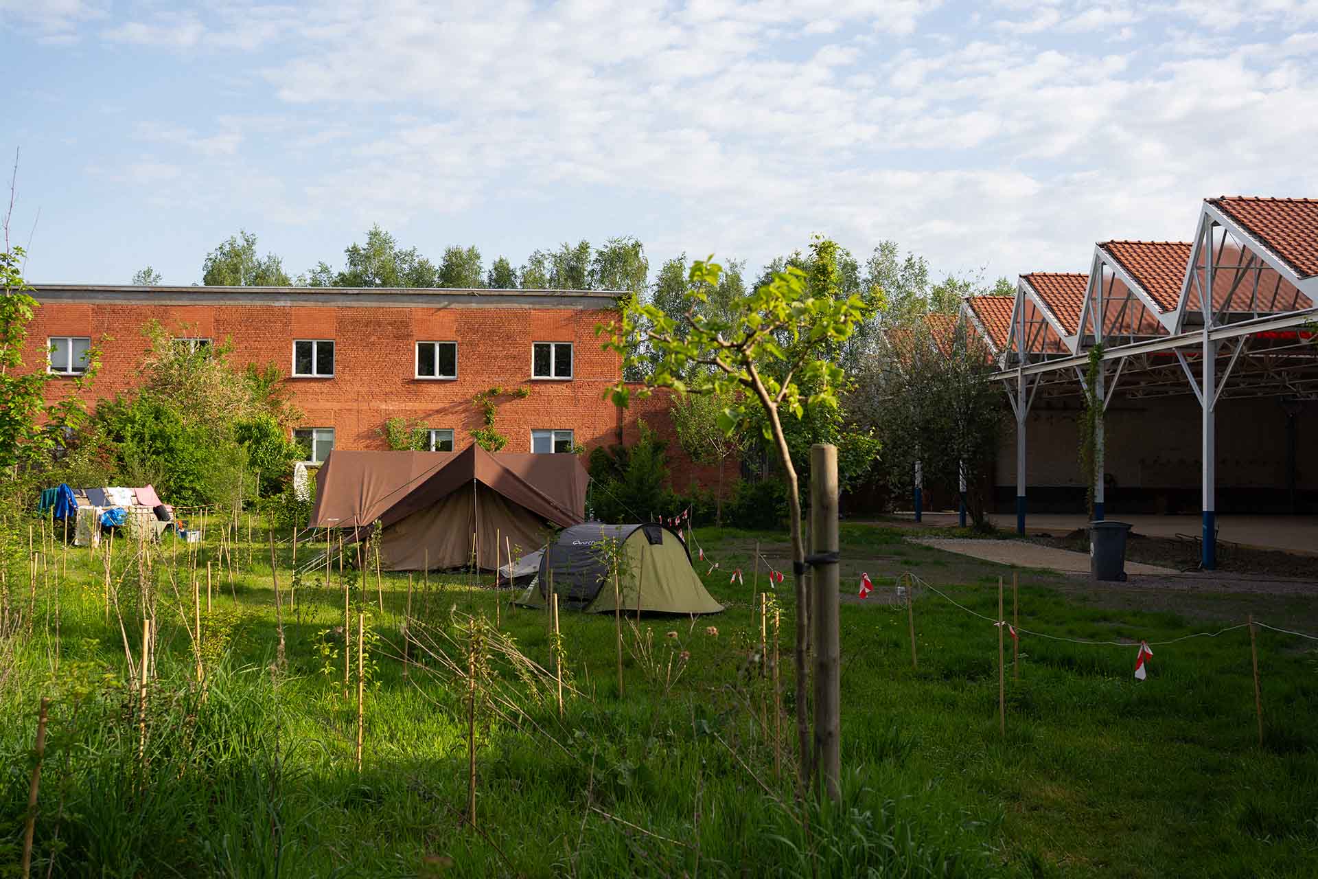 ‘Wildernis Invites’ // Project Updates & Stories