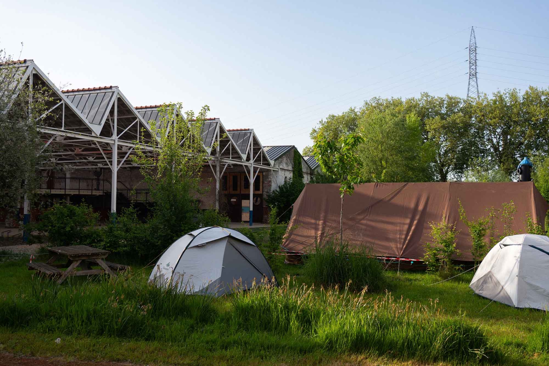 ‘Wildernis Invites’ // Project Updates & Stories