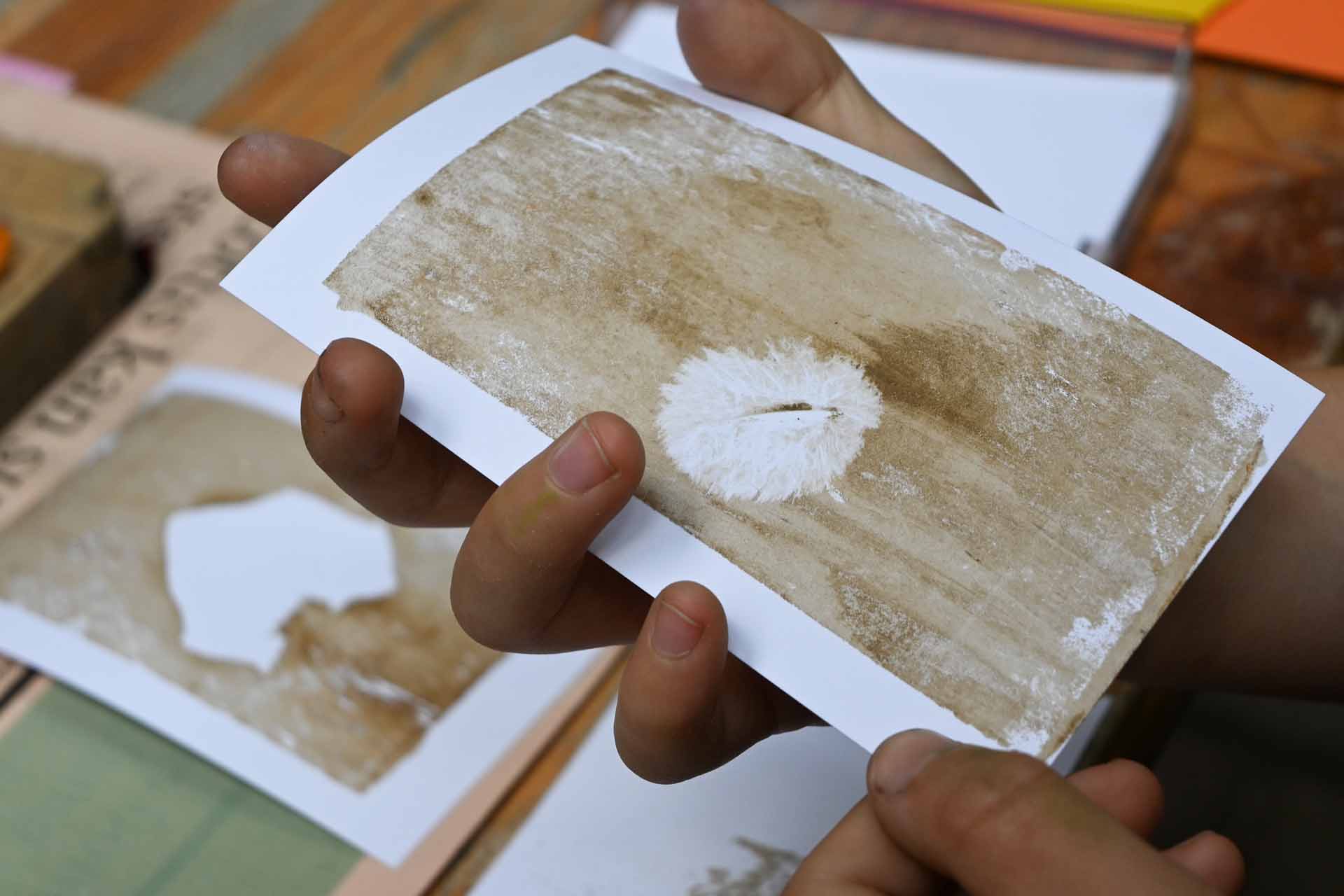 ‘Wildernis Invites’ // Project Updates & Stories