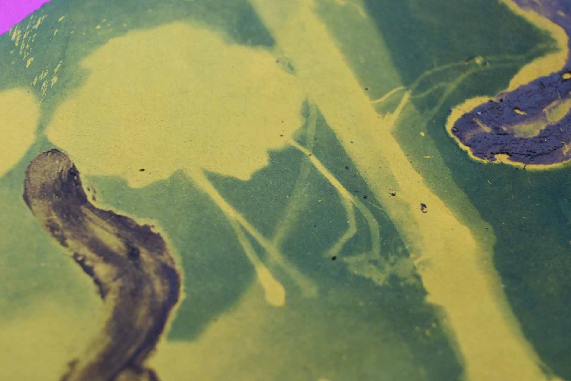‘Wildernis Invites’ // Project Updates & Stories