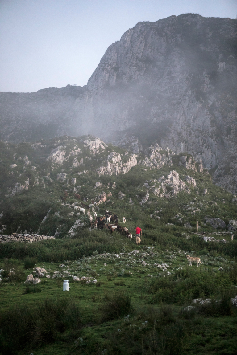 Aldea