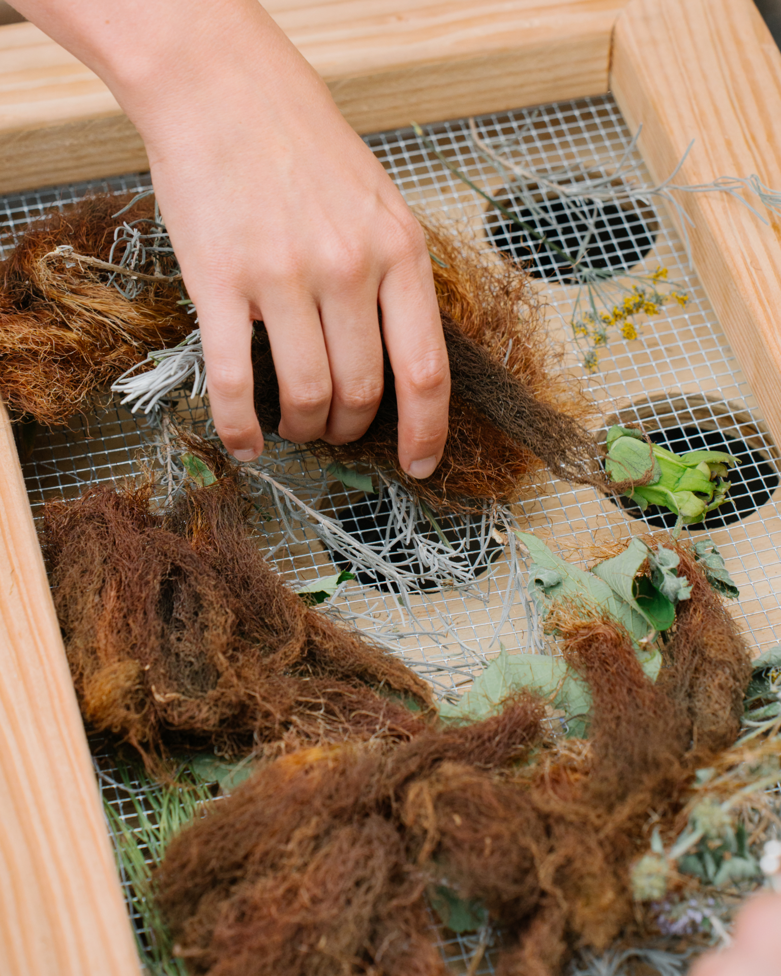 H.O.W. – H.O.T. – Kunst & Zwalm