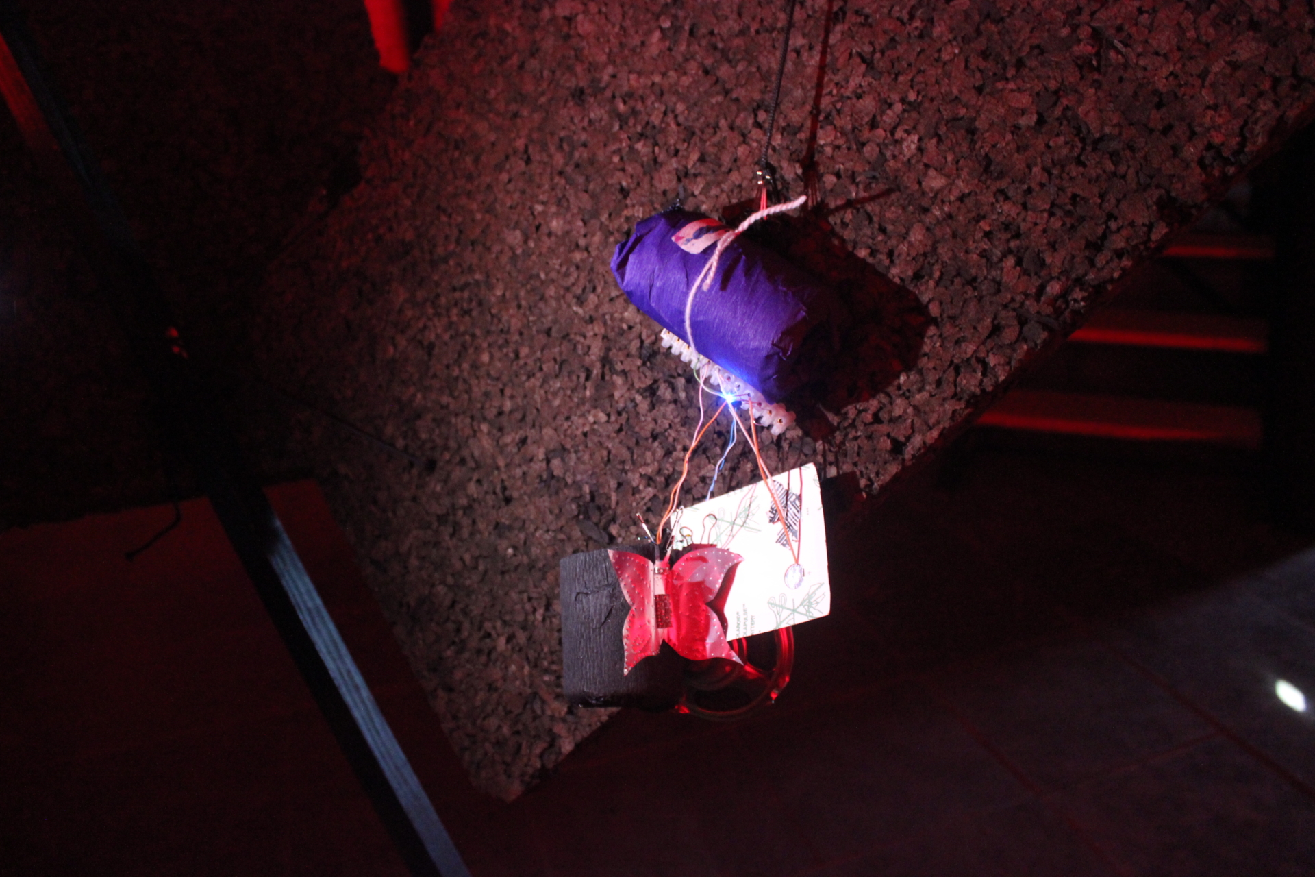 Workshop – Bichos Electrónicos