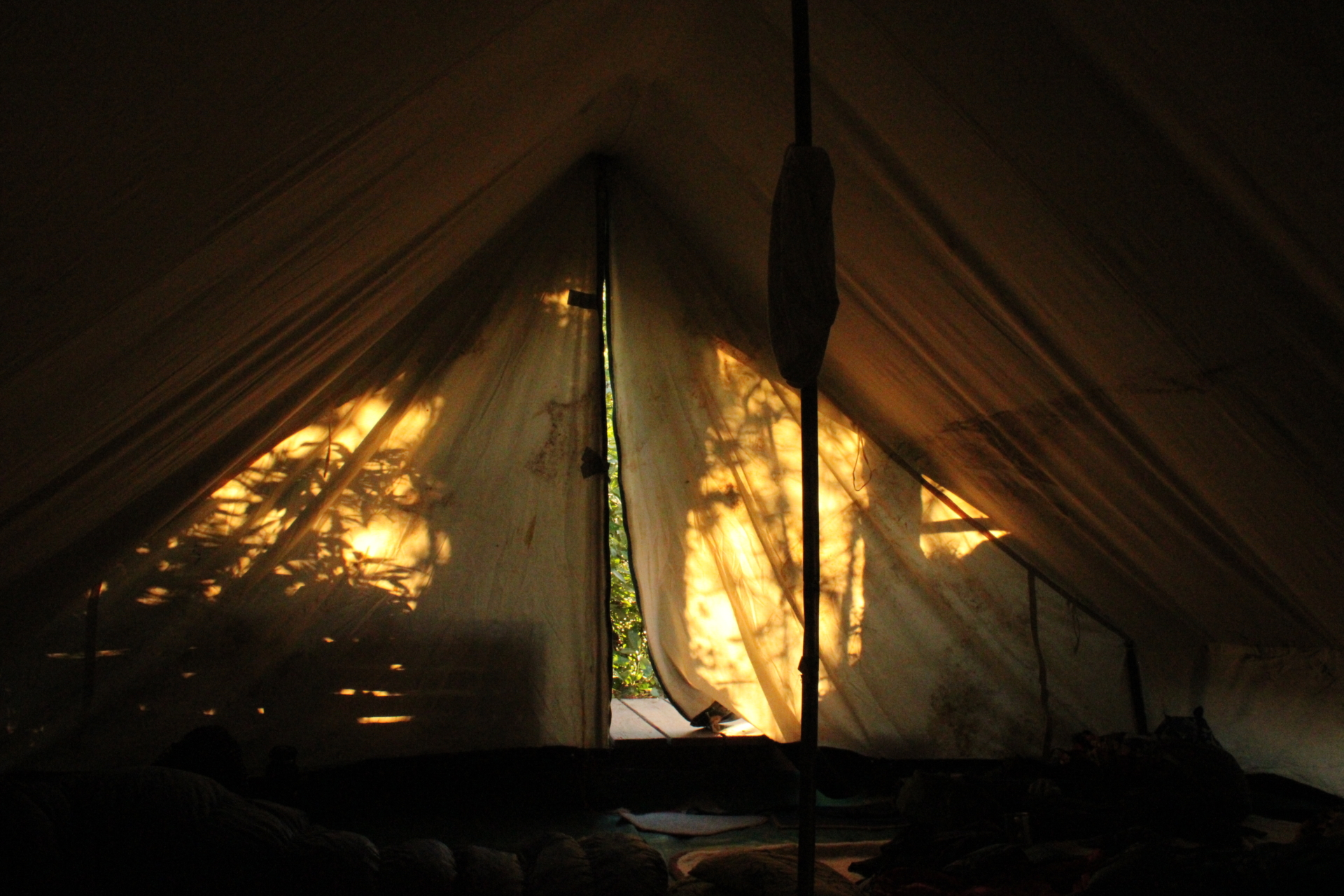 ‘Wildernis Invites’ // Project Updates (Phase II)