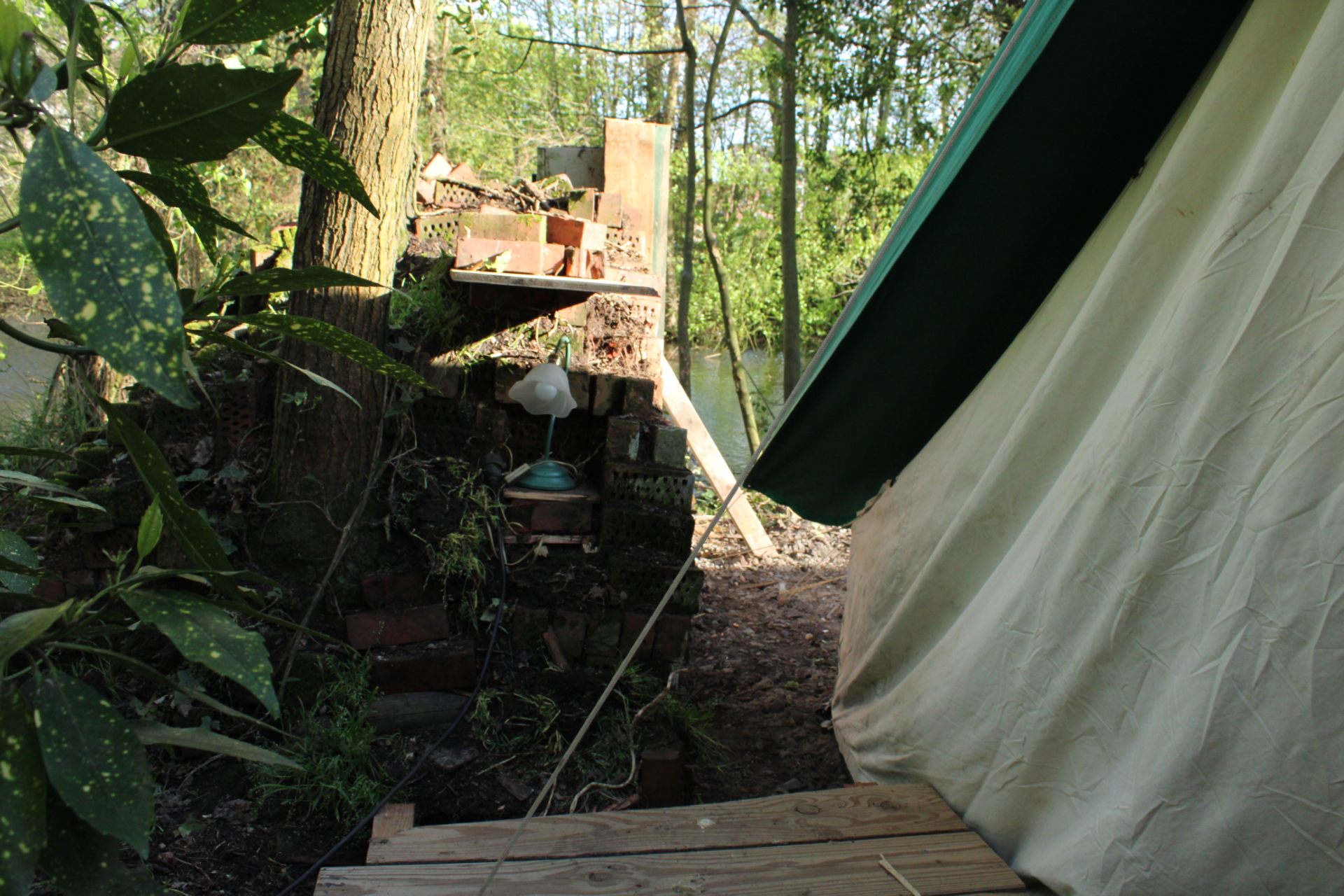 ‘Wildernis Invites’ // Project Updates (Phase II)