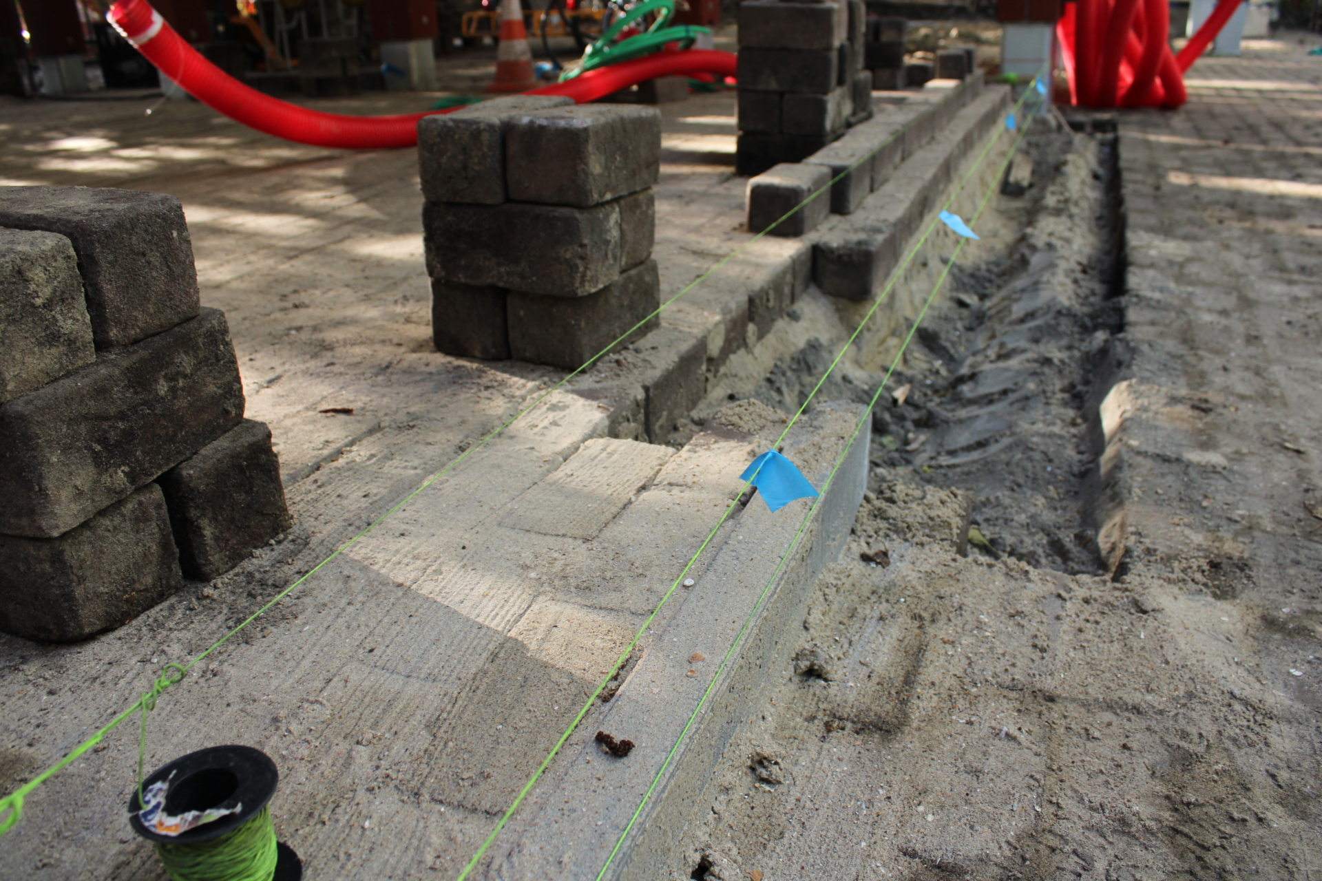 ‘Wildernis Invites’ // Project Updates (Phase II)