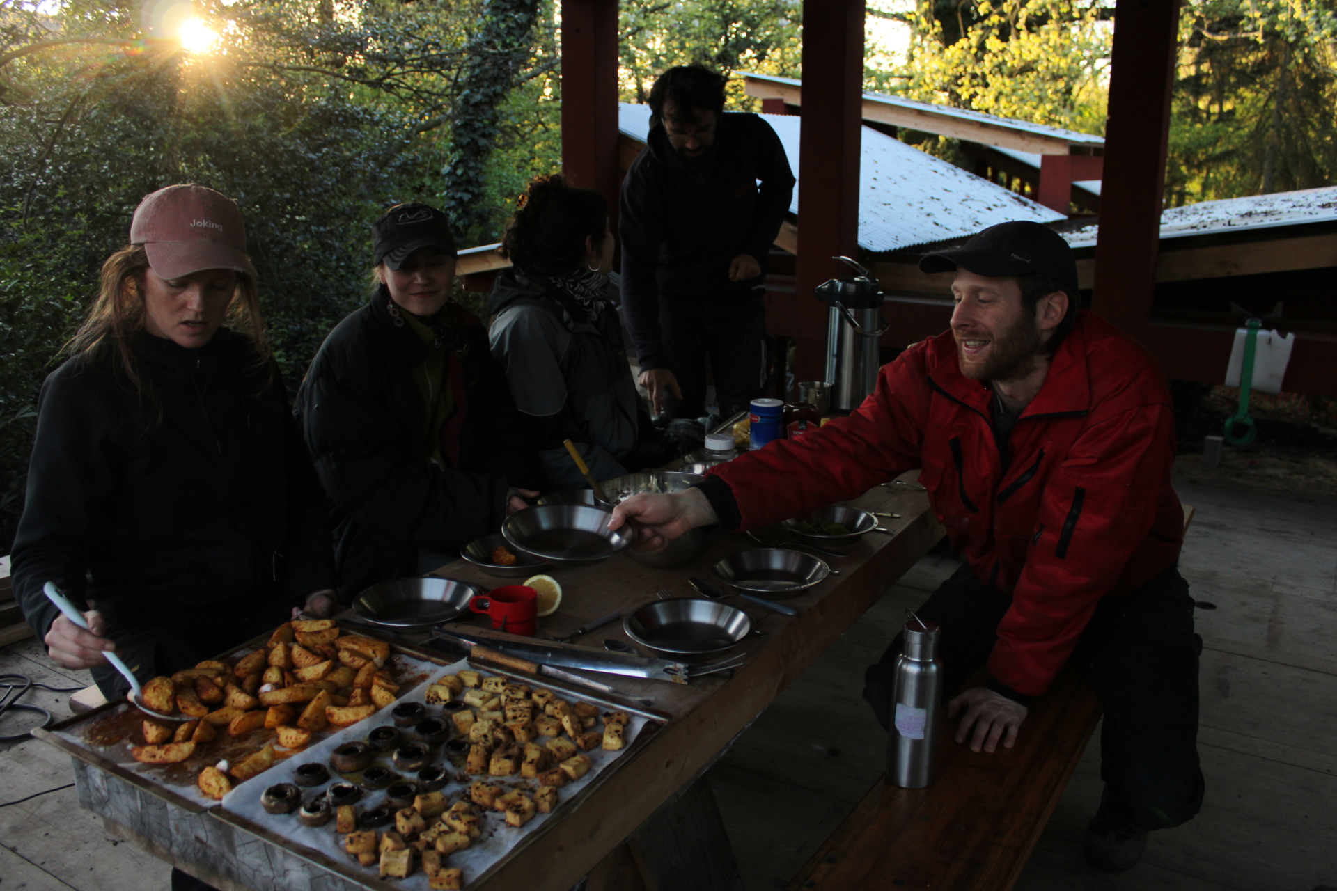 ‘Wildernis Invites’ // Project Updates (Phase II)