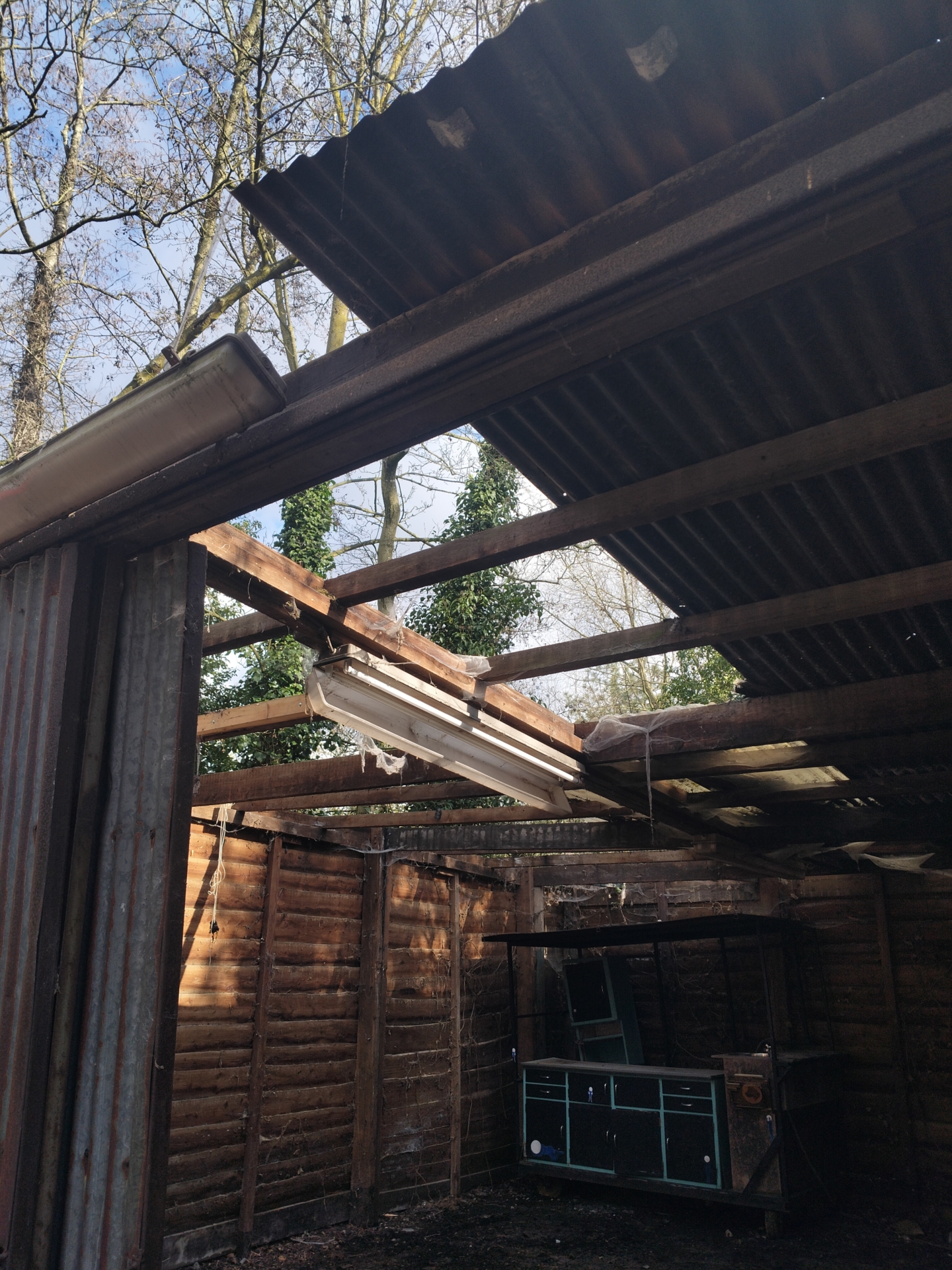 ‘Wildernis Invites’ // Project Updates (Phase II)