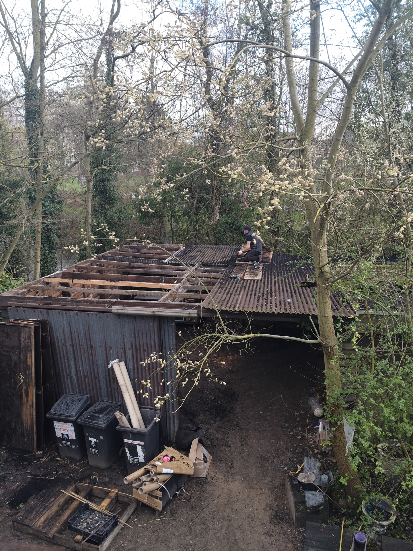 ‘Wildernis Invites’ // Project Updates (Phase II)