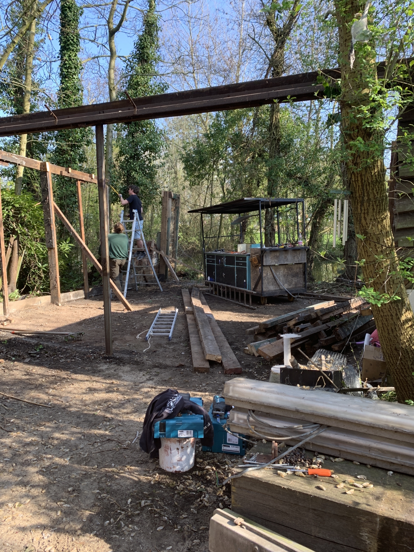 ‘Wildernis Invites’ // Project Updates (Phase II)