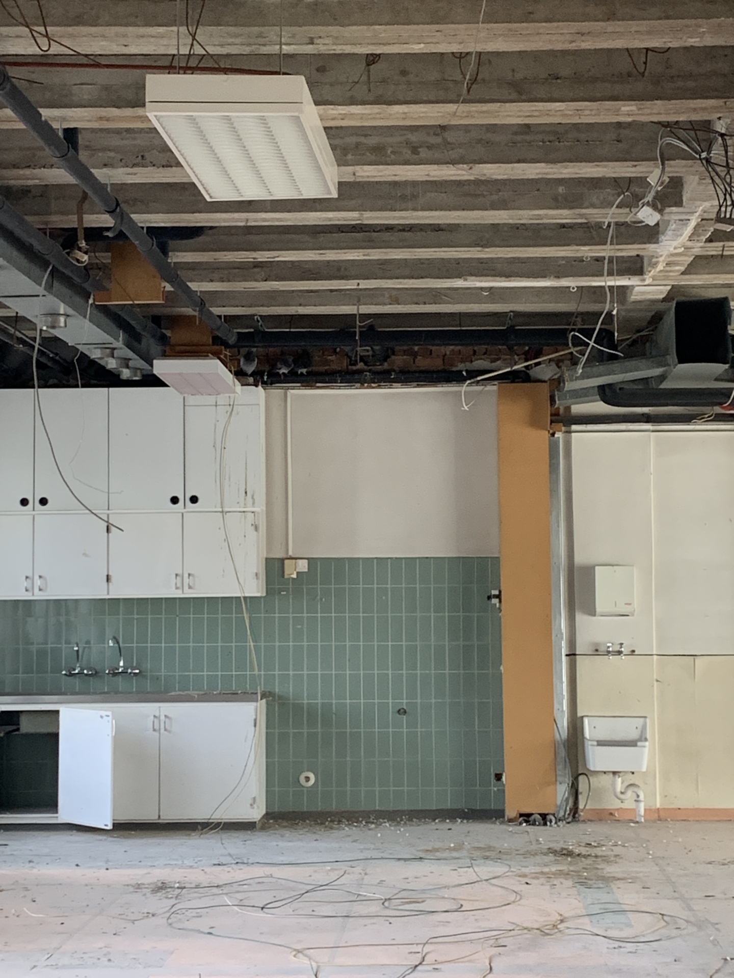 ‘Wildernis Invites’ // Project Updates (Phase II)