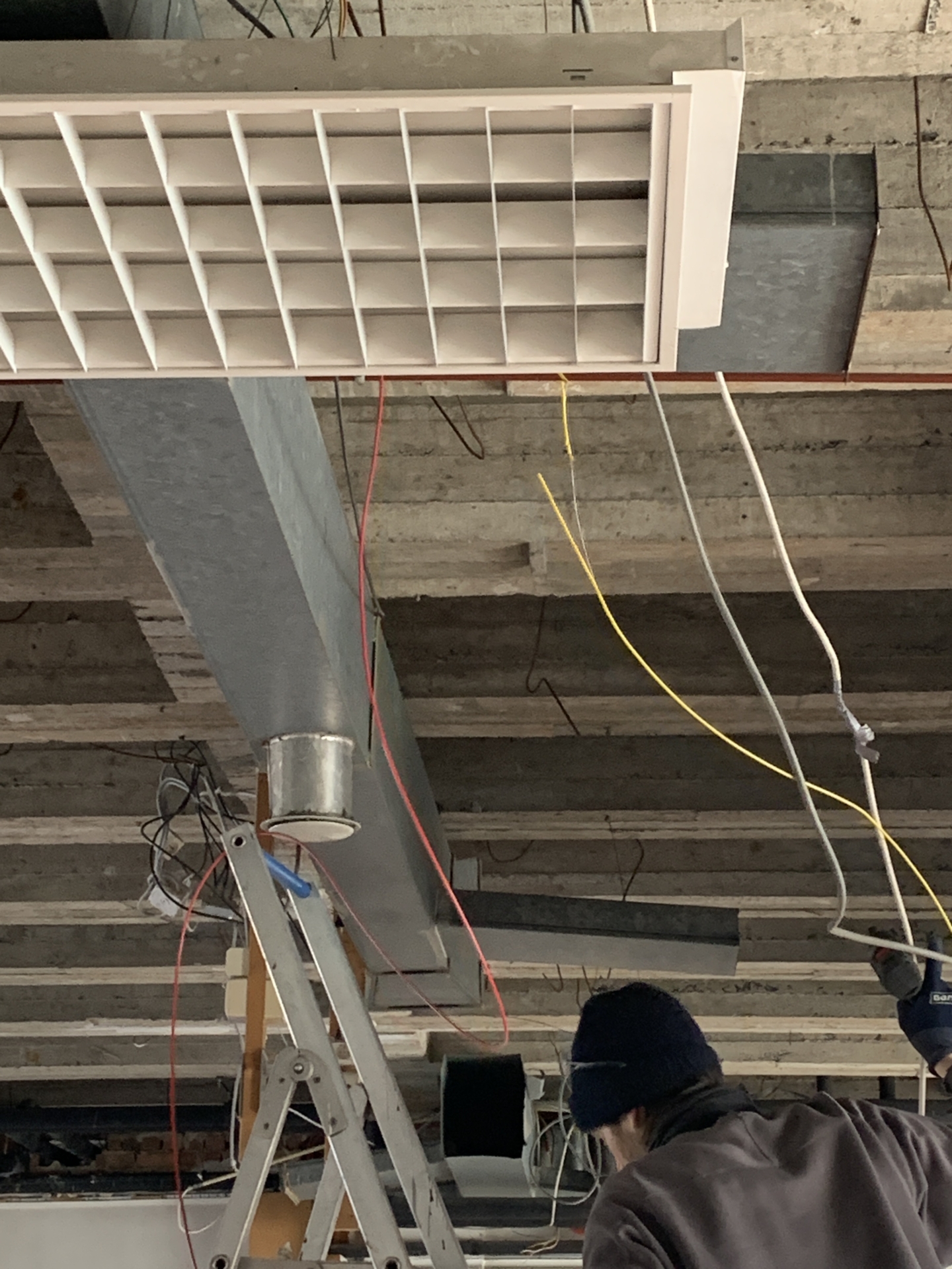 ‘Wildernis Invites’ // Project Updates (Phase II)