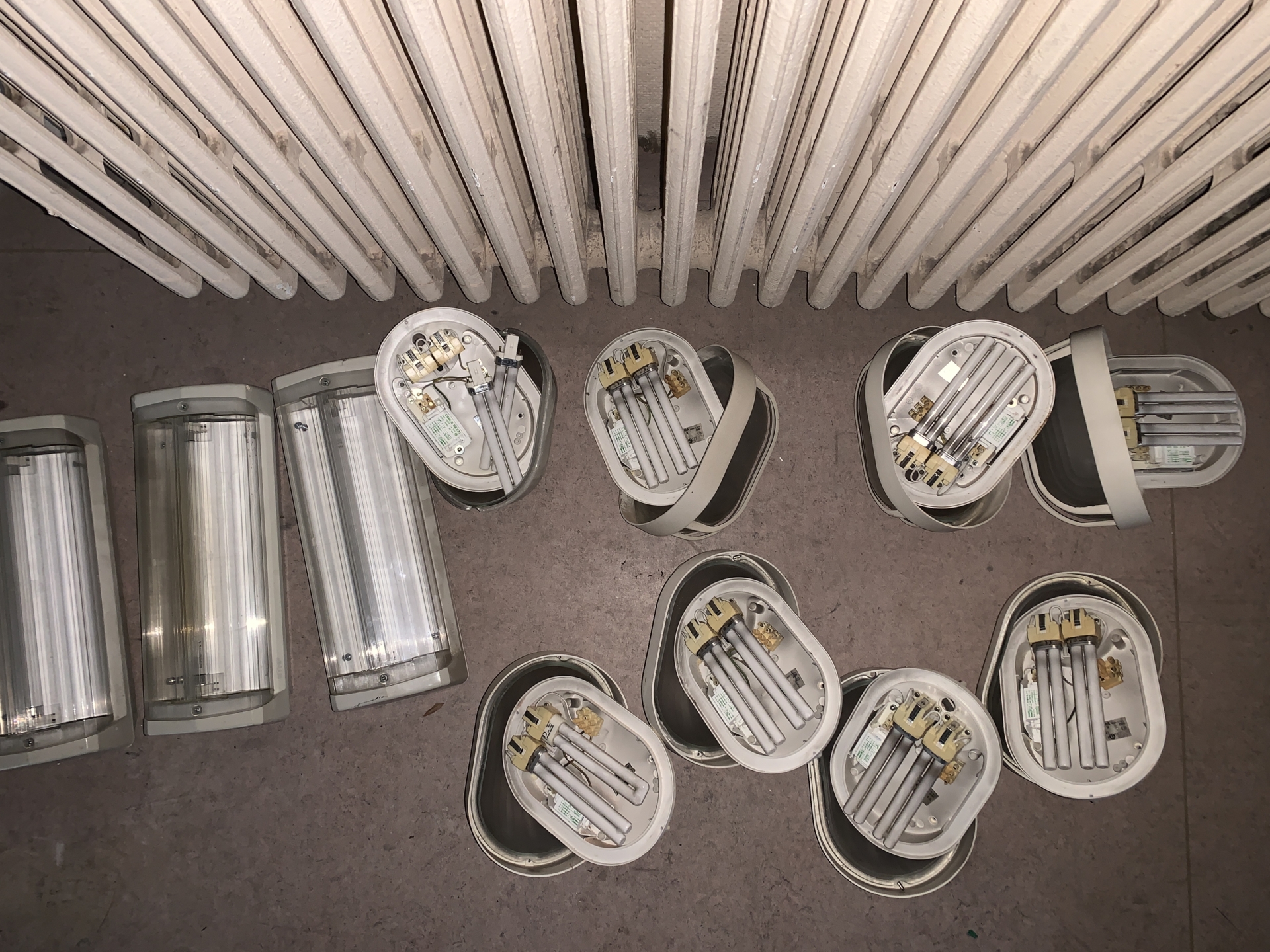 ‘Wildernis Invites’ // Project Updates (Phase II)