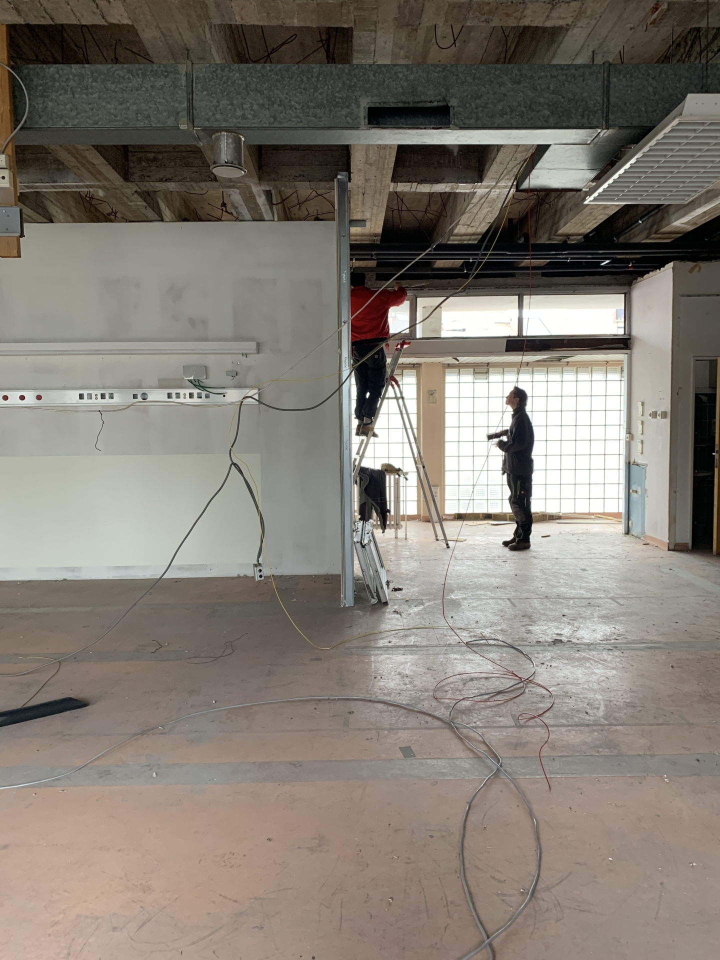 ‘Wildernis Invites’ // Project Updates (Phase II)