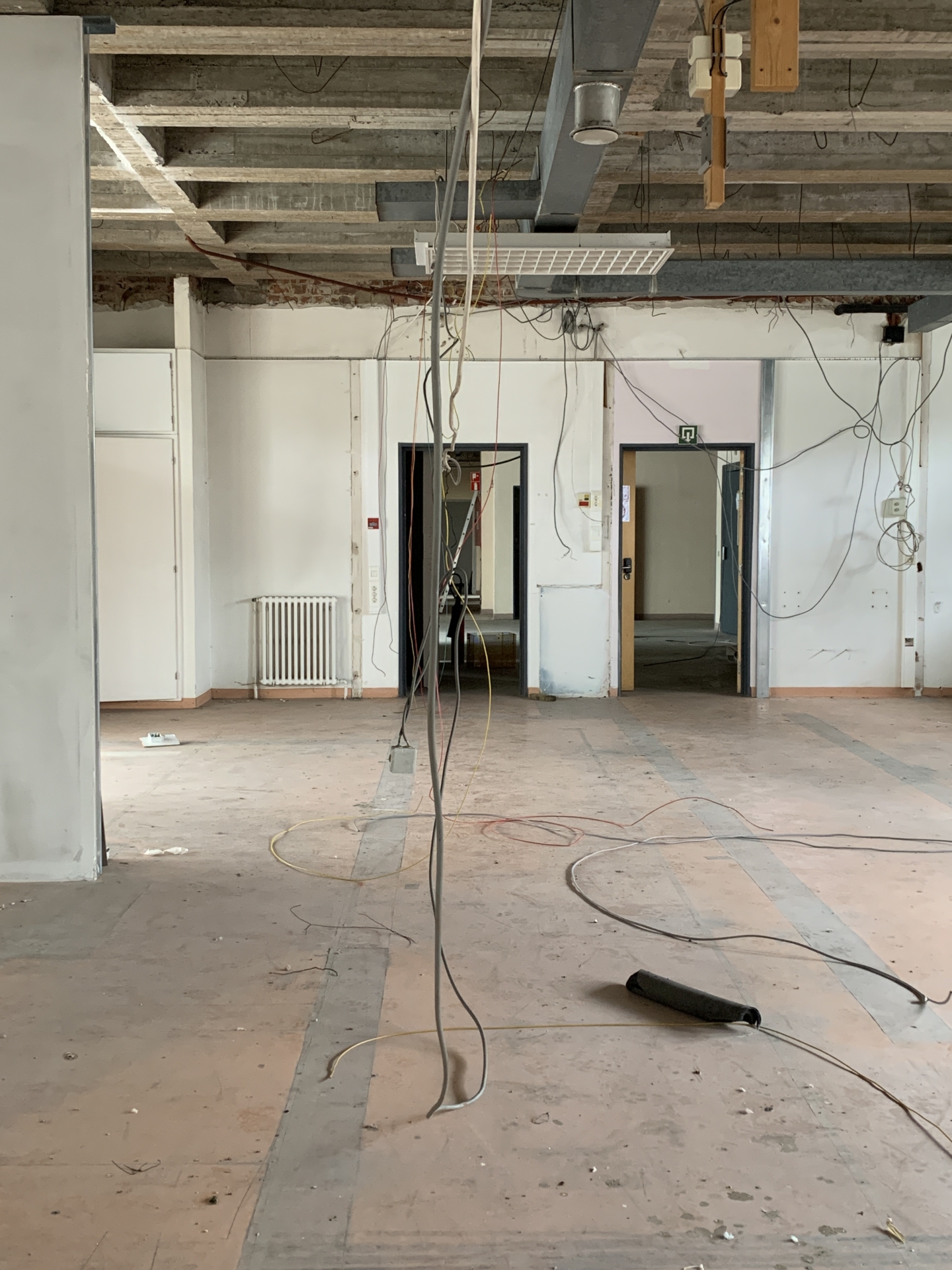 ‘Wildernis Invites’ // Project Updates (Phase II)