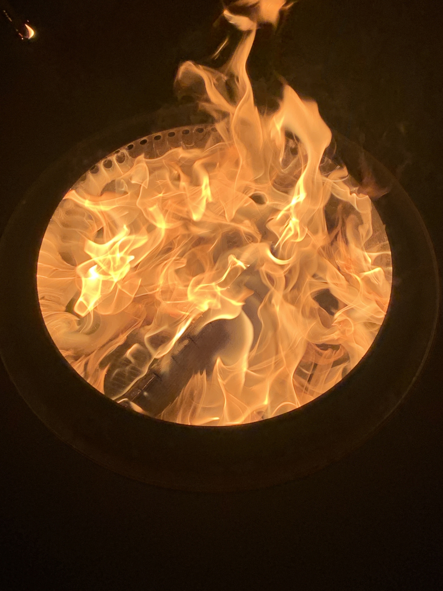 ‘Wildernis Invites’ // Project Updates (Phase II)