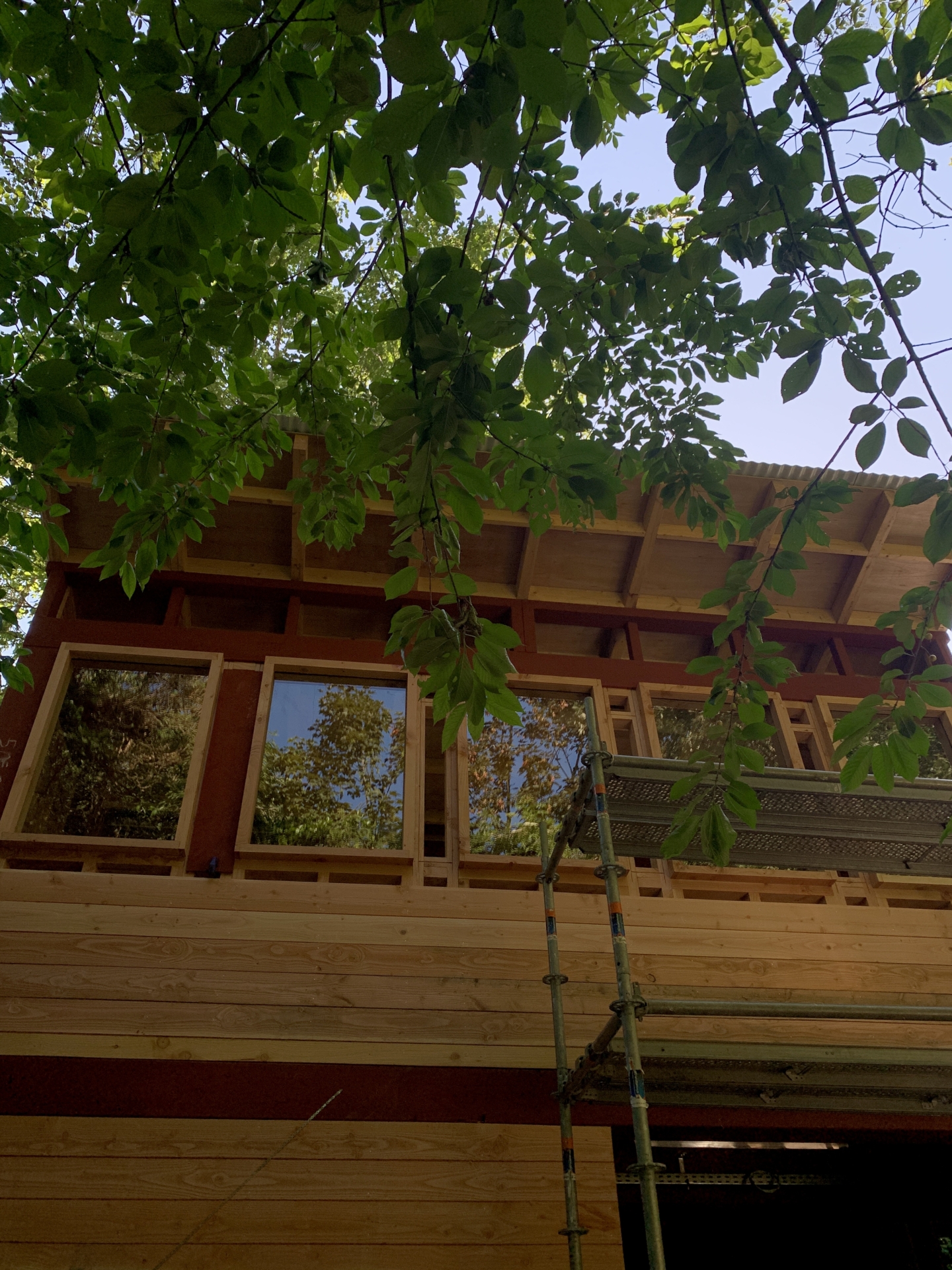 ‘Wildernis Invites’ // Project Updates (Phase II)