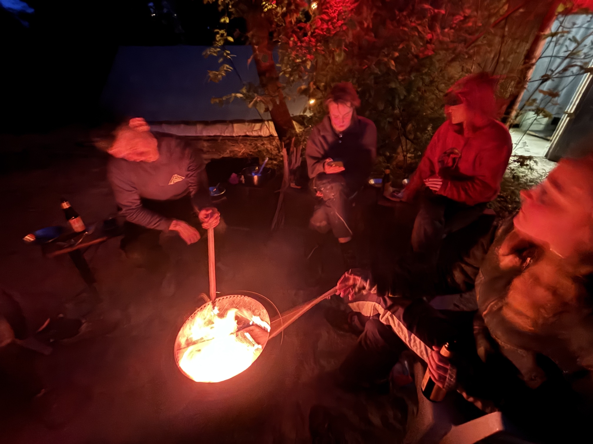 ‘Wildernis Invites’ // Project Updates (Phase II)